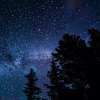 More Splendid than the Stars