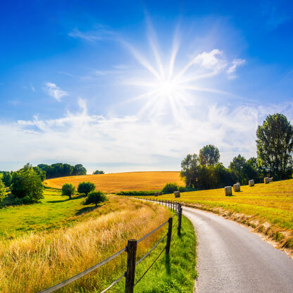 The Road Home