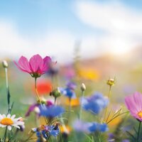 35th Anniversary Gala